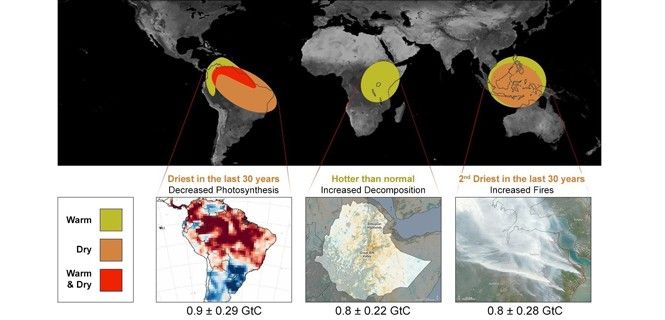 Impactos de El Niño en Sudamérica, África e Indonesia / Gráficos: NASA