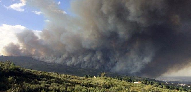 Más de 100 incendios están activos / Foto: Bombeiros Portugeses