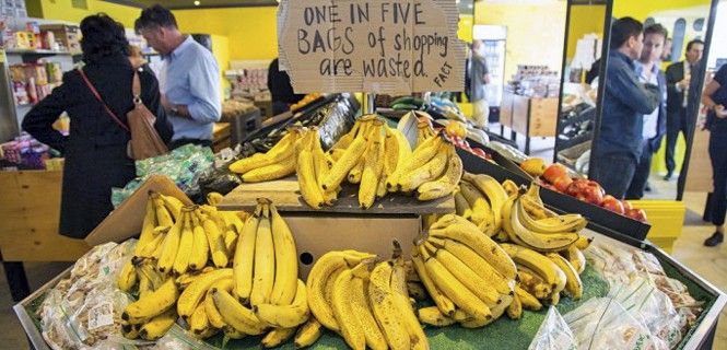 Interior del establecimiento de OzHarvest en el barrio de Kensington, en Sidney (Australia) / Foto: Oz Harvest