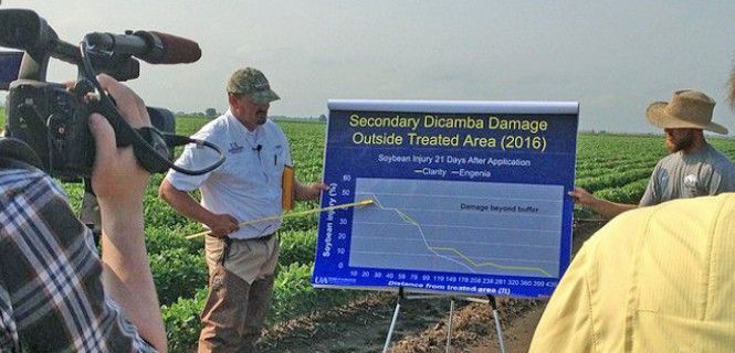 Los expertos exponen sus conclusiones en un campo de cultivo de Arkansas / Foto: University of Arkansas