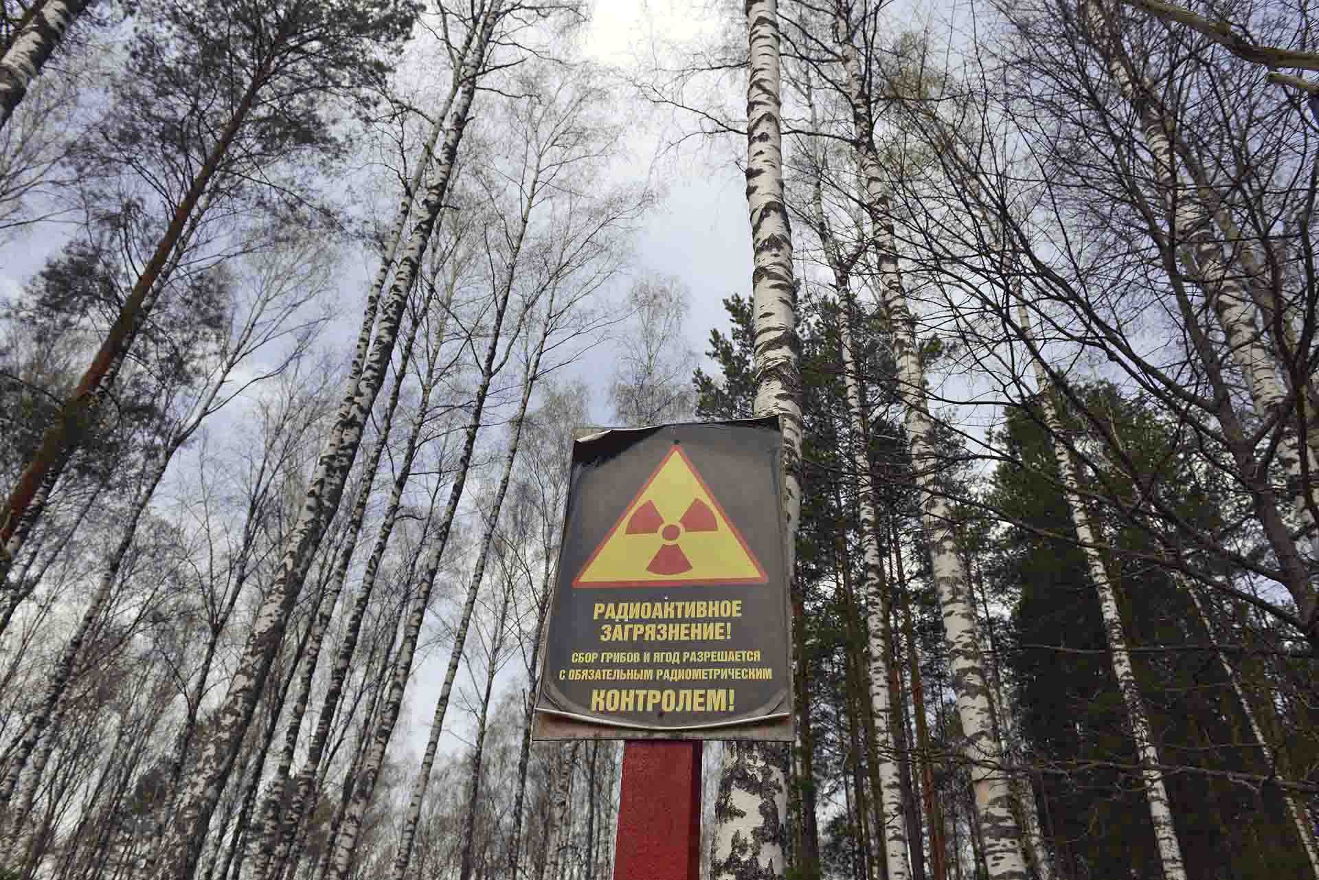 Además de en toda la zona de exclusión, a lo largo de toda el área afectada de la región de Gomel, en el sureste de Bielorrusia, existen cuantiosos cárteles que indican la radiación / Foto: Alfons Rodríguez
