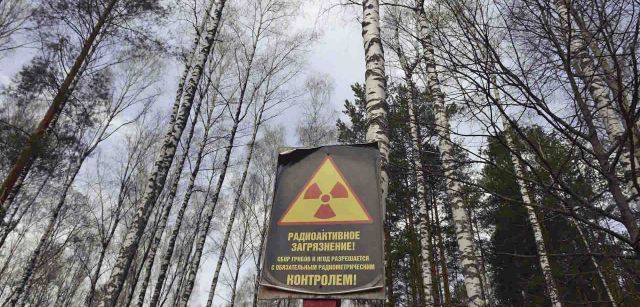 Además de en toda la zona de exclusión, a lo largo de toda el área afectada de la región de Gomel, en el sureste de Bielorrusia, existen cuantiosos cárteles que indican la radiación / Foto: Alfons Rodríguez