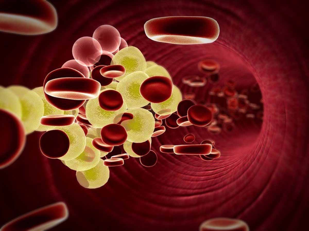El colesterol y su importancia para la vida / Imagen: EP