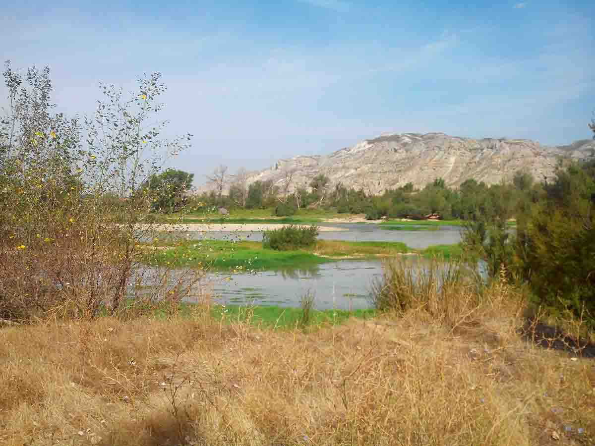 Vistas del río Ebro. Los medicamentos y pesticidas afectan a la calidad biológica de los ríos / Foto: Pixabay