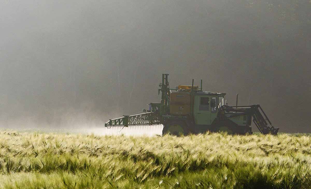 Un vehículo agroindustrial aplica pesticidas en un campo de cultivo / Foto: Erich Westendarp – Pixabay