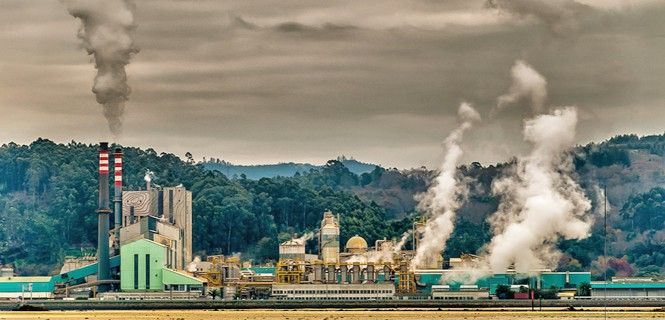 Papelera Ence en la ría de Pontevedra, Galicia / Foto: Jorge Gay Gago