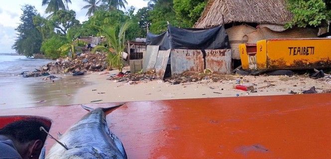 Se prevé que la región de las Islas del Pacífico se vuelva más cálida / Foto: Quentin Hanich