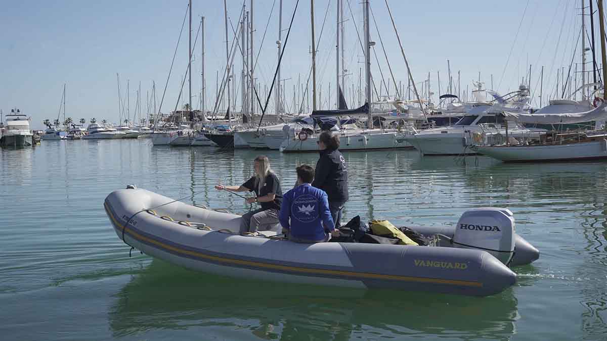 El 'Projecte Posidònia' estudiará la biodiversidad marina alincantina / Foto: Fundación Oceanogràfic - EP