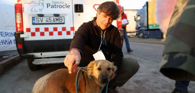 Un voluntario particular cuida de una mascota llegada de Ucrania en el enclave fronterizo de Siret, en Rumanía, junto a territorio ucraniano / Foto: FFM - EA