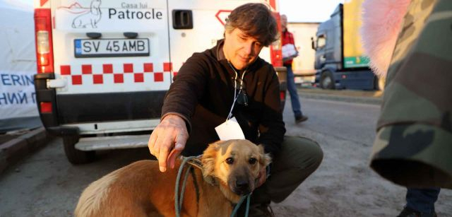 Un voluntario particular cuida de una mascota llegada de Ucrania en el enclave fronterizo de Siret, en Rumanía, junto a territorio ucraniano / Foto: FFM - EA