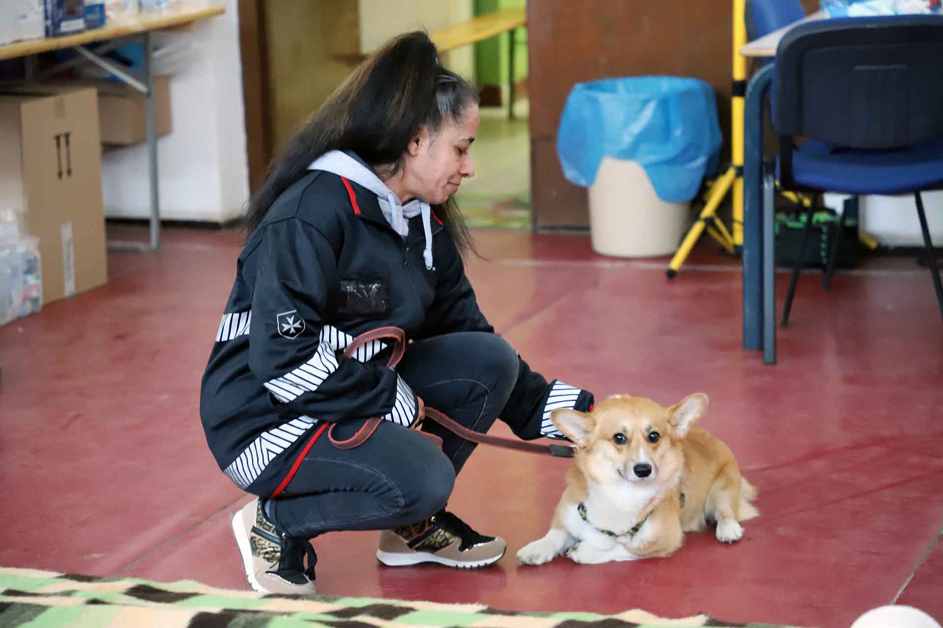 Una mascota ucraniana llegada a punto fronterizo de Beregsurány entre Hungría y Ucrania / Foto: FFM - EA