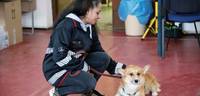 Una mascota ucraniana llegada a punto fronterizo de Beregsurány entre Hungría y Ucrania / Foto: FFM - EA