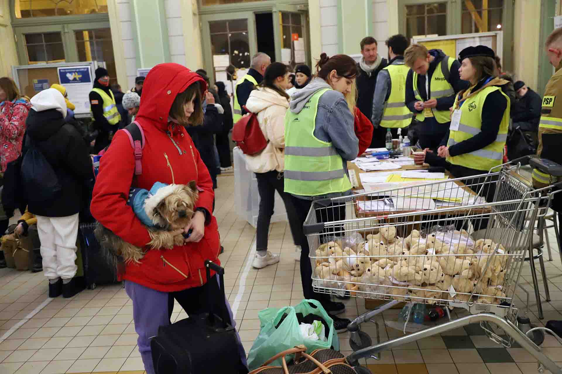 Una refugiada llegada desde Ucrania a la estación de tren de Przemysl (Polonia), mira con su mascota en brazo un carro de supermercado con perros peluches / Foto: FFM - EA