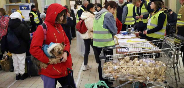 Una refugiada llegada desde Ucrania a la estación de tren de Przemysl (Polonia), mira con su mascota en brazo un carro de supermercado con perros peluches / Foto: FFM - EA