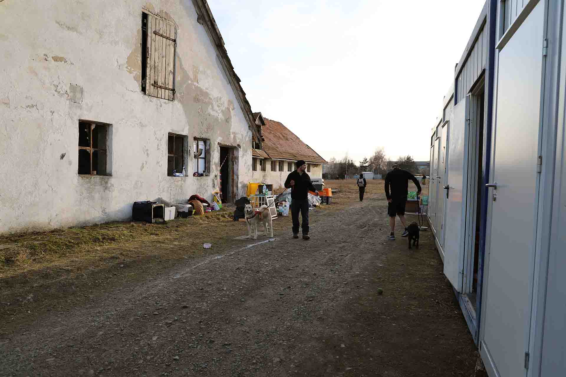 Un voluntario pasea a dos perros en el centro de mascotas de Medyka, Polonia / Foto: FFM - EA