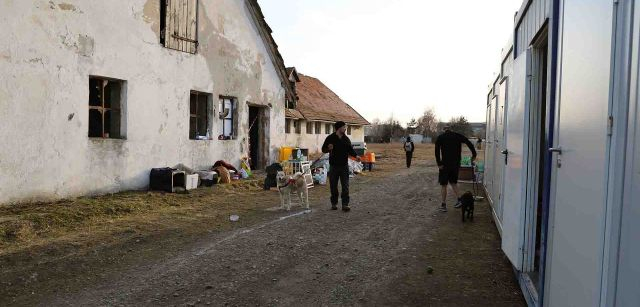Un voluntario pasea a dos perros en el centro de mascotas de Medyka, Polonia / Foto: FFM - EA