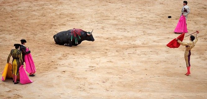 Espectáculo taurino / Foto: Pablo Blázquez Domínguez