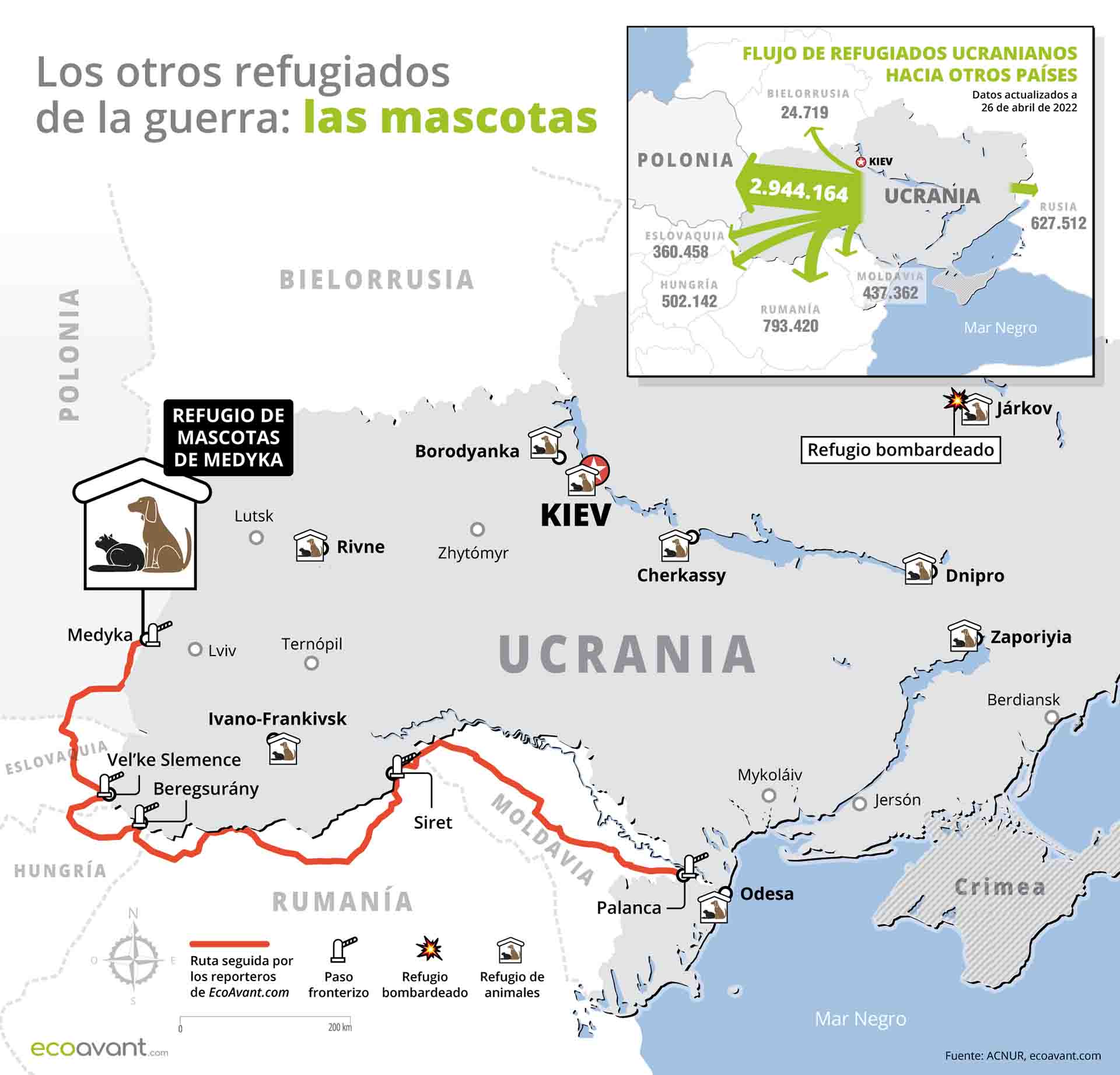 Mapa de los otros refugiados de la guerra de Ucrania: las mascotas / Foto: EA