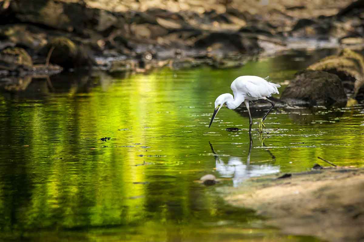 Preservar las reservas de agua para hacer frente a la sequía. No recortar en la transferencia del Tajo-Segura / Foto: Pixabay