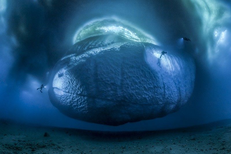 La parte sumergida de un enorme iceberg a la deriva en el Îlot de la Vierge, en las costas antárticas / Foto: Laurent Ballesta - Wildlife Photographer of the Year