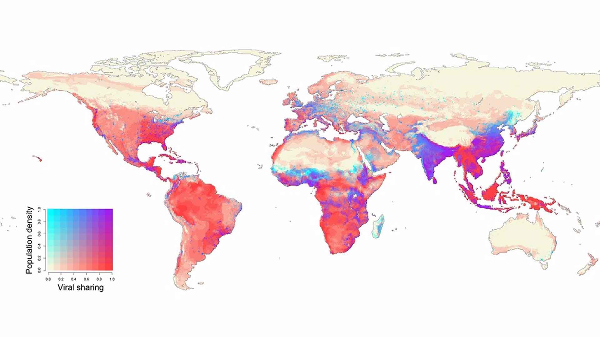 En 2070, los centros de población humana en África ecuatorial, el sur de China, India y el sudeste asiático se superpondrán con los puntos críticos proyectados de transmisión viral entre especies en la vida silvestre / Imagen: EP
