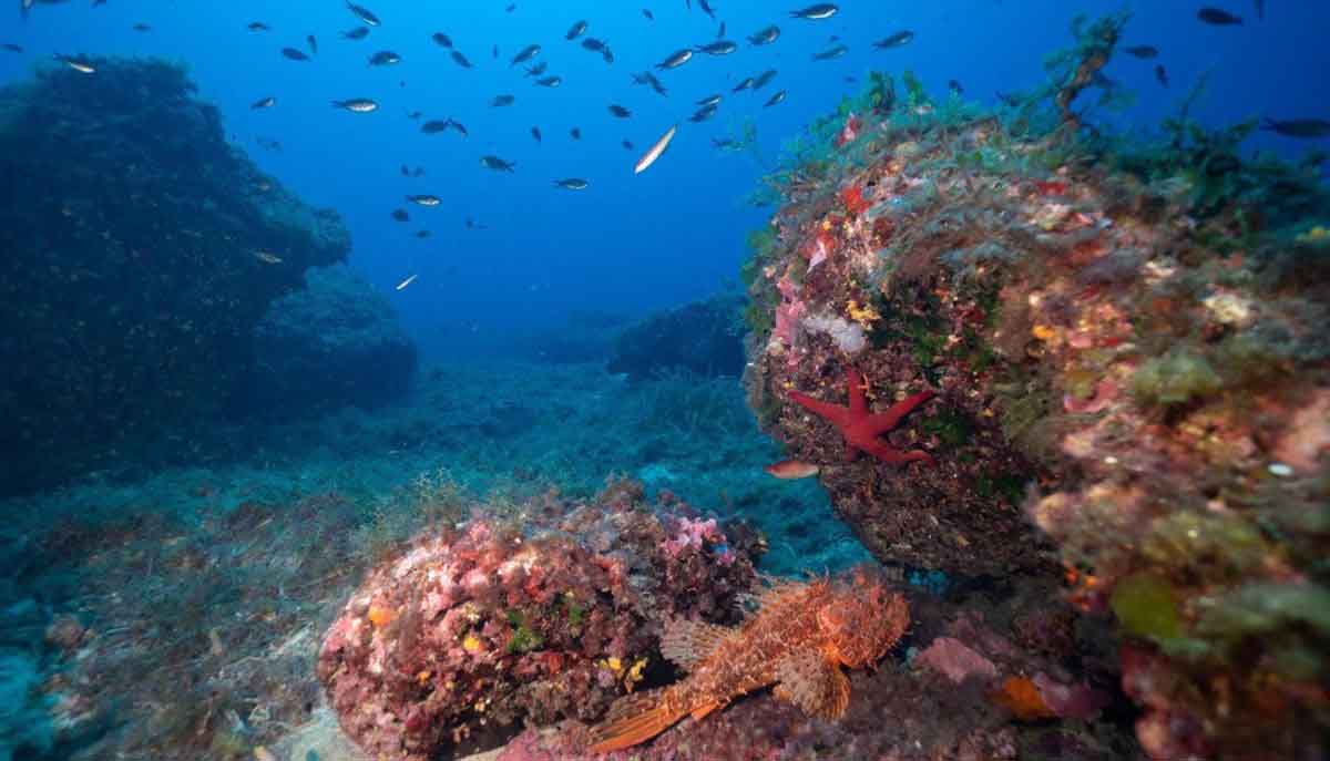 Reserva Marina des Freus entre Ibiza y Formentera. 150 aficionados protestan contra dos nuevas reservas marinas / Foto: EP