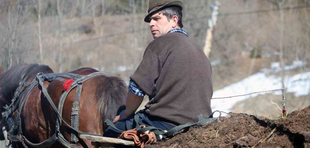 Una persona con un carro tirado por caballos con estiércol, en una carretera cercana Dornești (Rumanía)