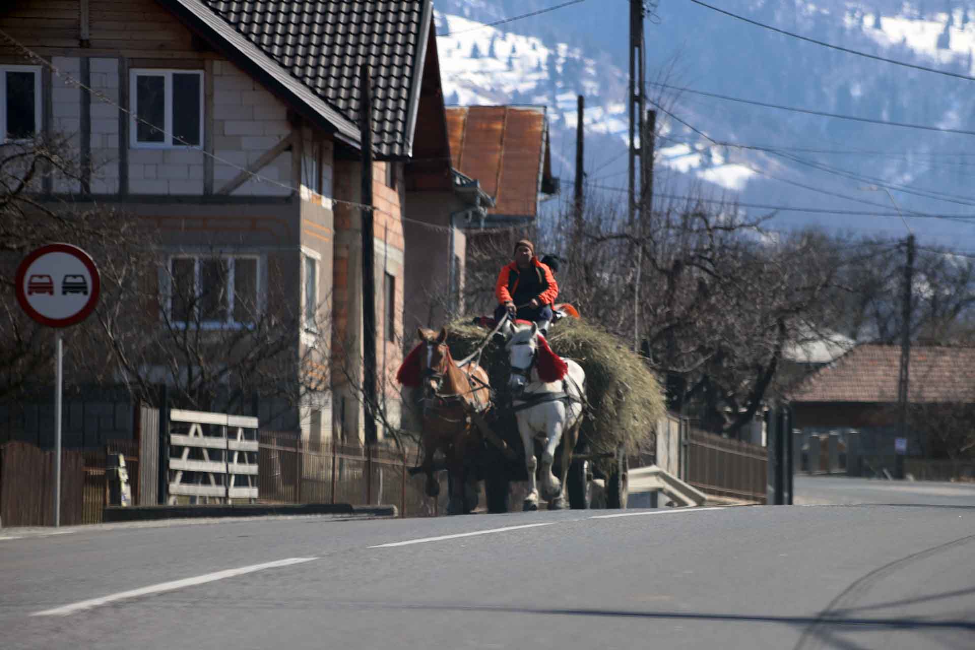 Una persona con un carro tirado por caballos con heno, en una carretera cercana a Tiha Bârgăului, Rumanía / Foto: FFM - EA