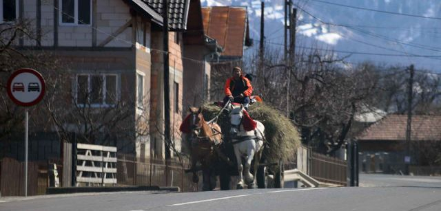 Una persona con un carro tirado por caballos con heno, en una carretera cercana a Tiha Bârgăului, Rumanía / Foto: FFM - EA