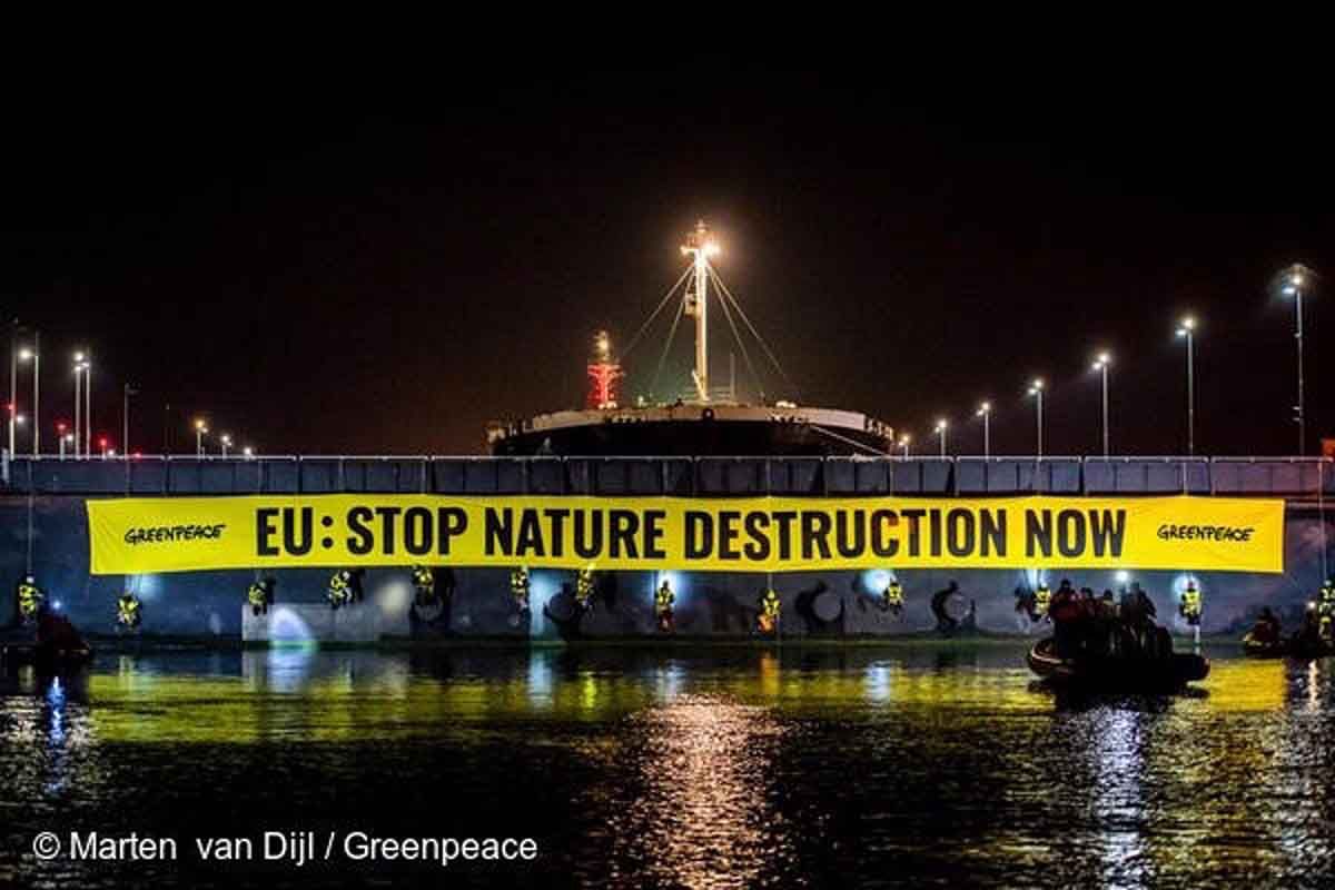 Greenpeace bloquea un 'megabuque' de soja para denunciar la deforestación / Foto: Greenpeace
