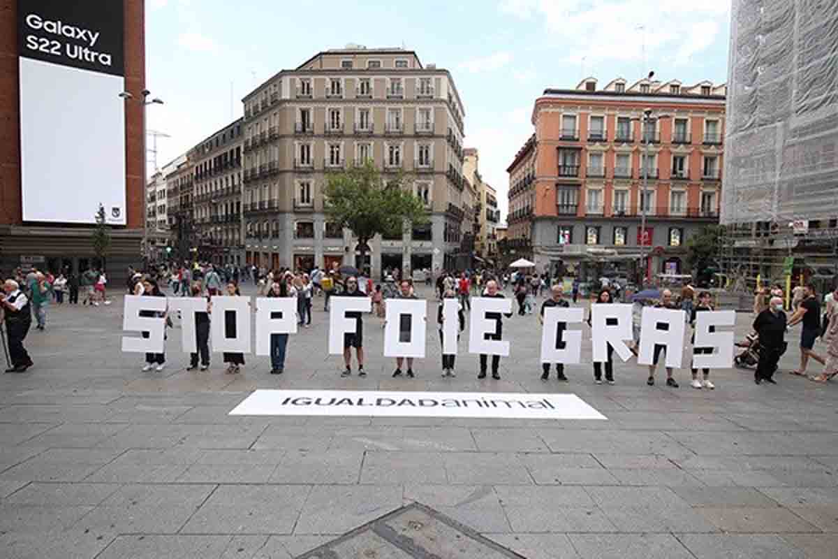 'Stop foie gras'. Activistas piden prohibir la cruel alimentación forzada par producir foie gras / Foto: EP