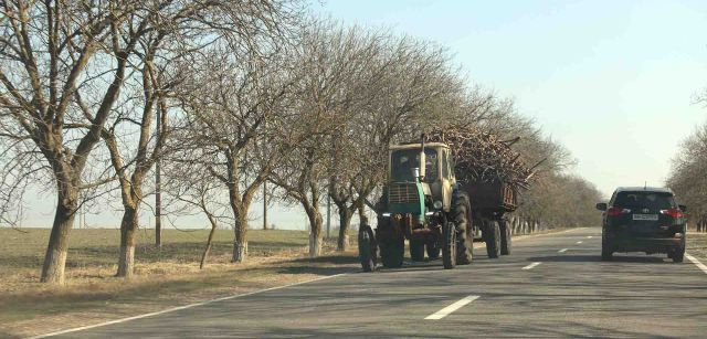 Un tractor transporta ramas secas en un remolque en Moldavia  / Foto: FFM - EA