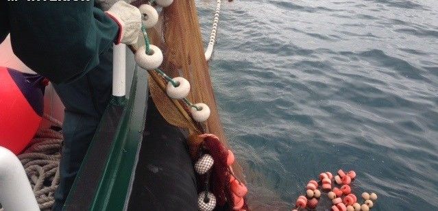 Pescadores retirando las redes de las aguas / Foto: Guardia Civil