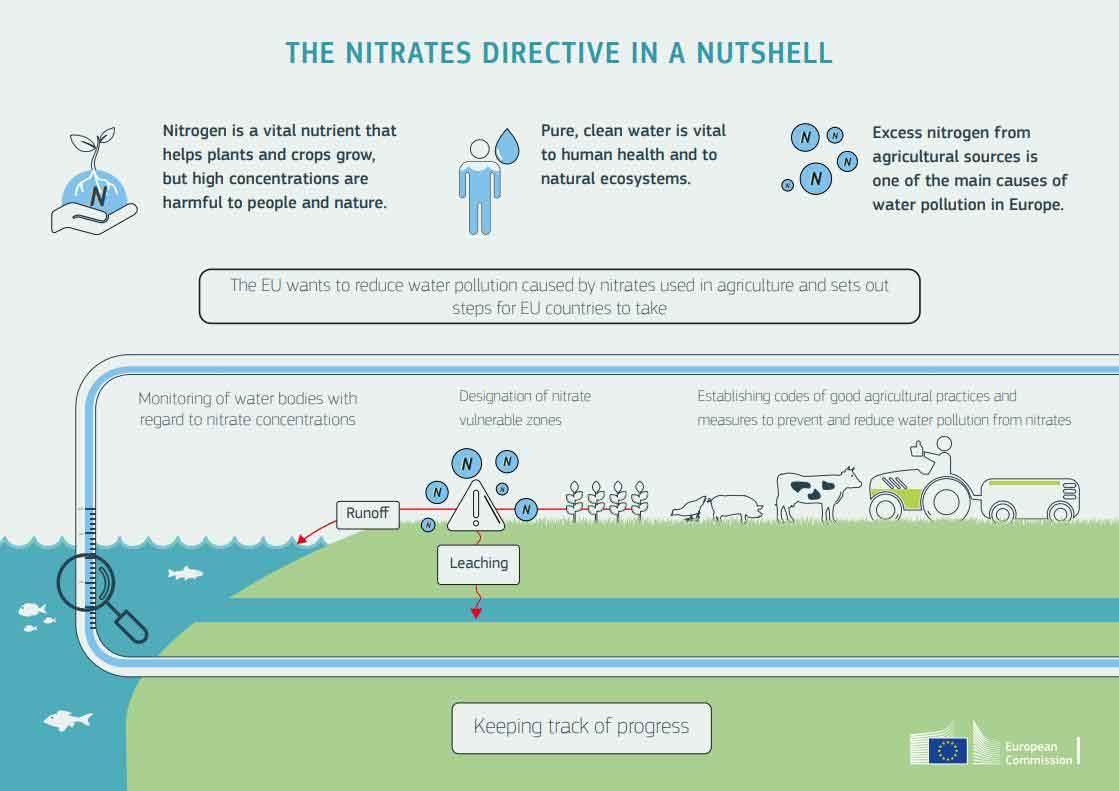 Excesos de nitratos de origen agrícola contaminan las aguas / Infografía: MITECO