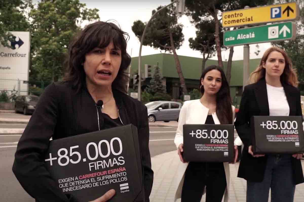 María Villaluenga y otros miembros de Equalia entregan más de 85.000 firmas para que Carrefour España mejore su política de bienestar animal en pollos / Imagen: Equalia