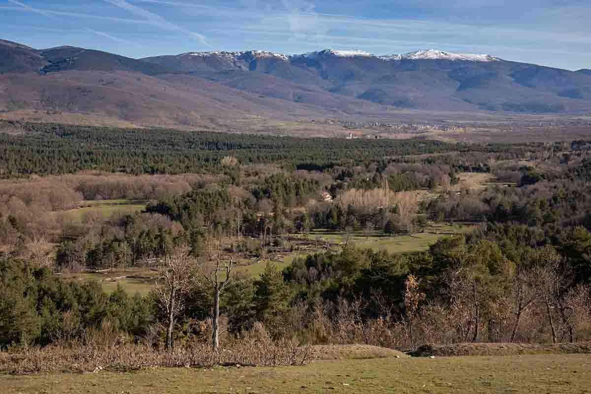 La restauración de hábitats degradados contra las crisis del clima y la biodiversidad / Foto: Rafael Bastante - EP