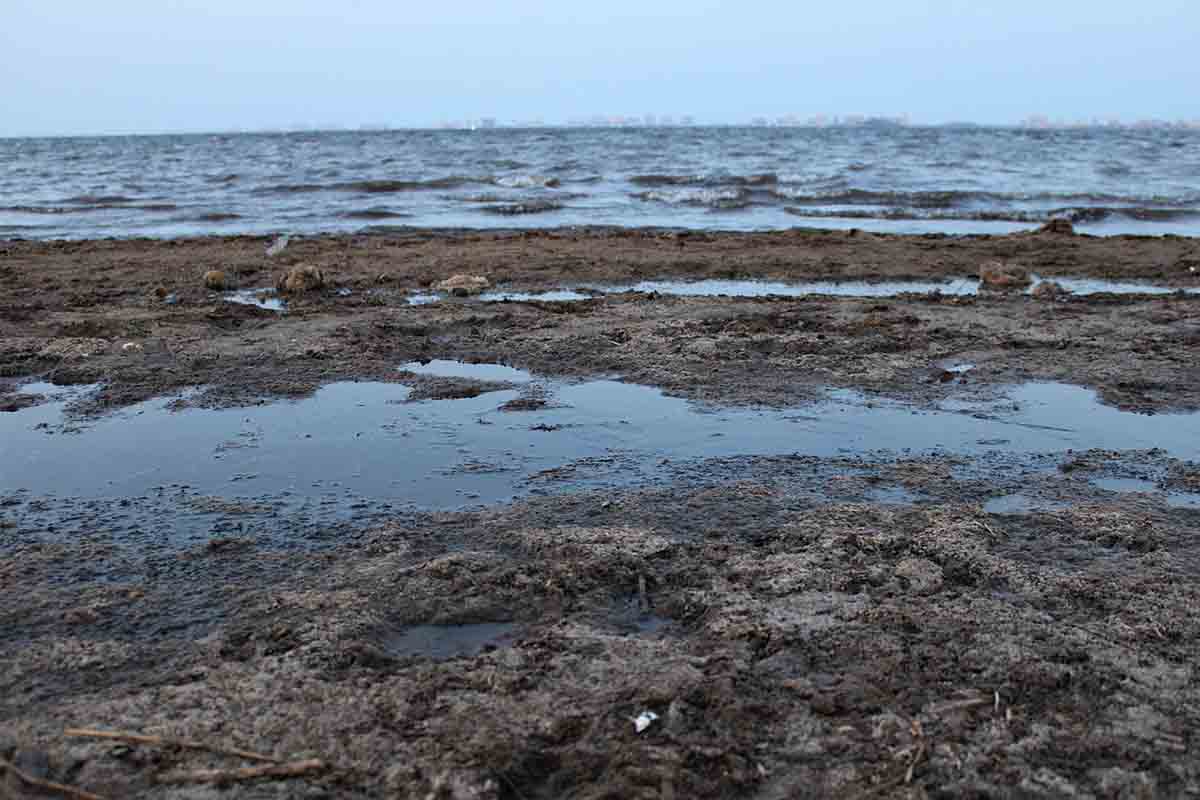 Se inicia el proyecto piloto de oxigenación del Mar Menor / Foto: Pixabay