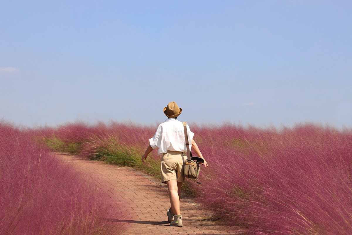 Una mujer rodeada de vegetación. Ciudadana ambiental / Foto: Pixabay