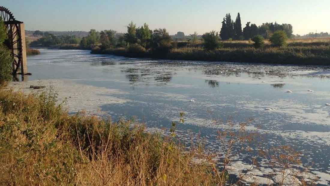 Río Tajo a su paso por Toledo. Toledo condena el nuevo trasvase: / Foto: Ecologistas en Acción