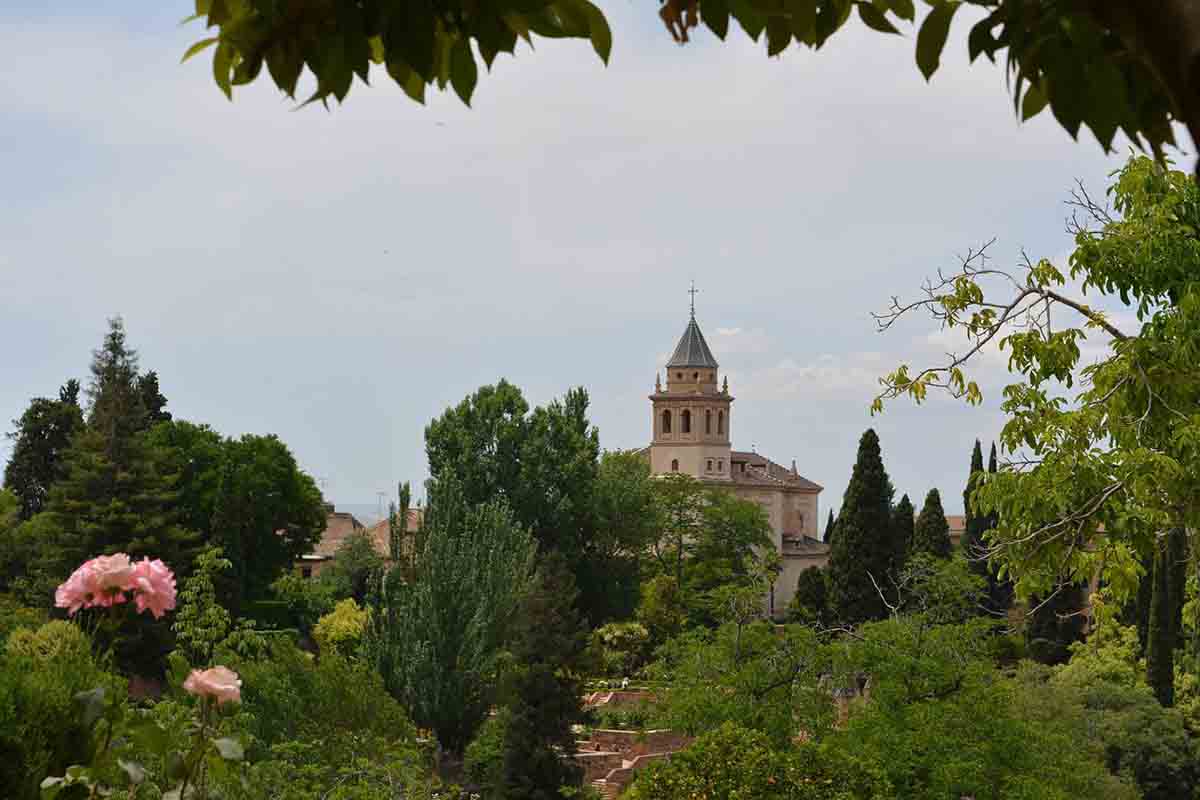 Una Cátedra UICN para la Conservación de la Naturaleza en Andalucia / Foto: Pixabay