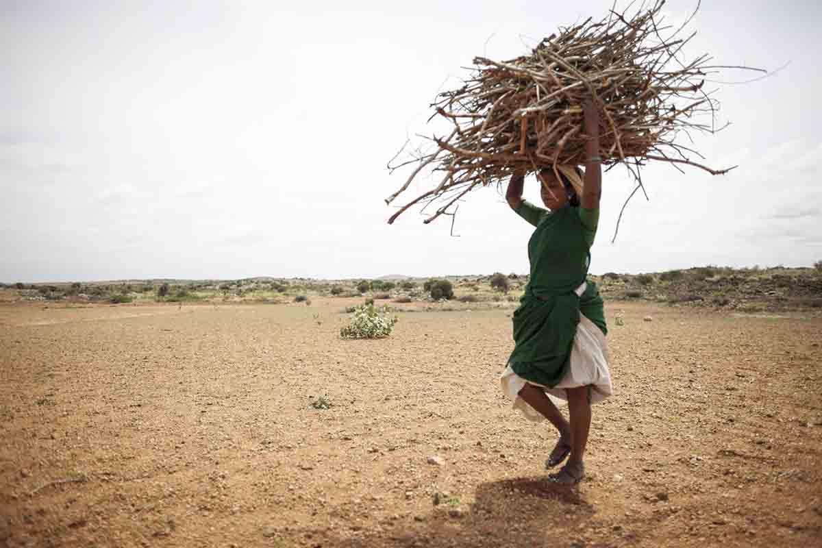 La peor ola de calor en India en 122 años. Una mujer recoge troncos en un paraje árido / Foto: Albert Uriach - FVF - EP