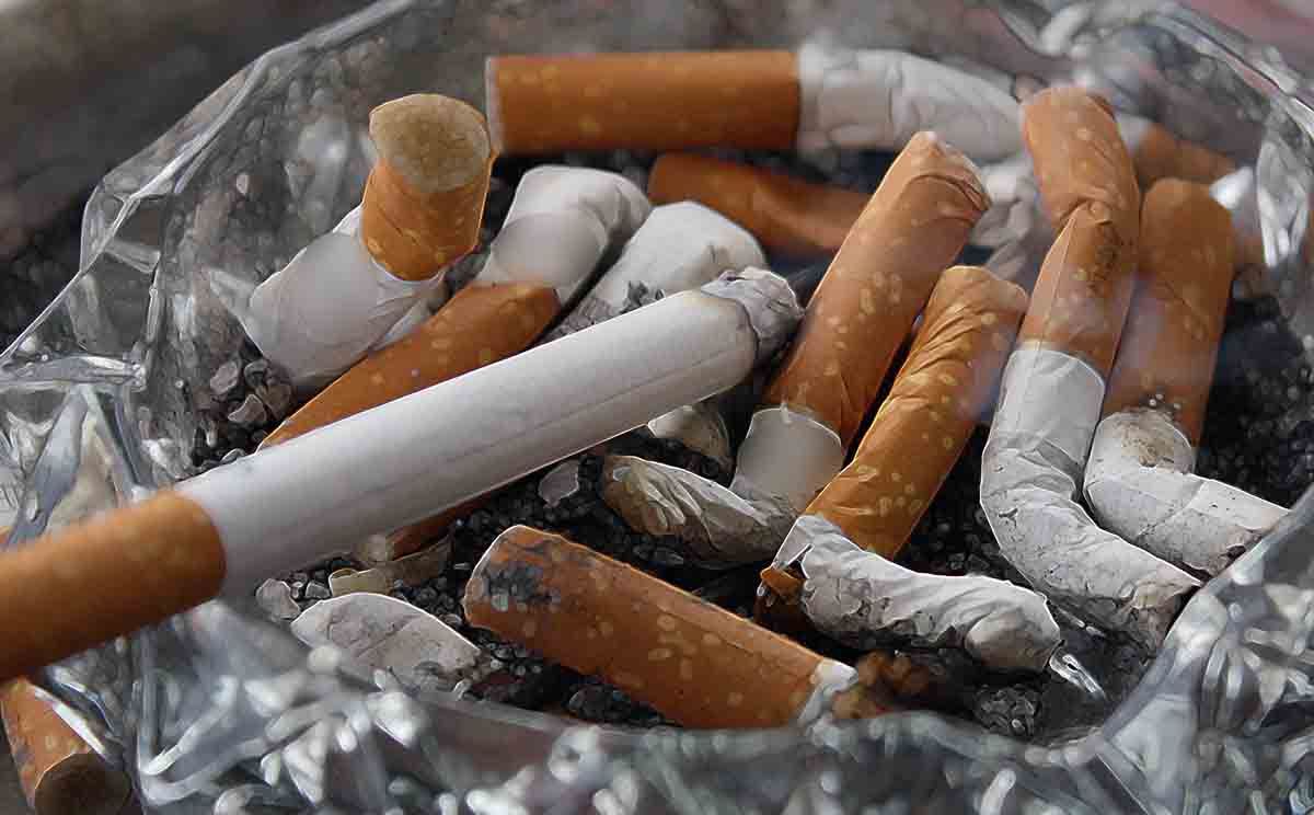 Día Mundial Sin Tabaco. Prohibir fumar en terrazas, estadios deportivo y playas / Foto: EP