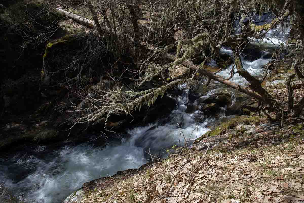 Río Lozoya en el Valle de la Angostura, en el Pinar de los Belgas, a 7 de abril de 2022, en Madrid (España). Acción para proteger la naturaleza y el medio ambiente / Foto: EP