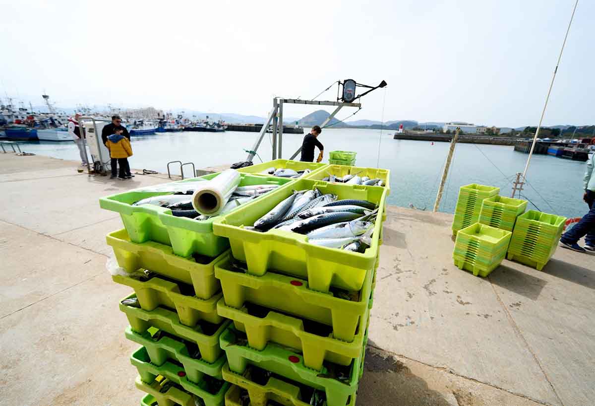 La Eurocámara pide transparencia en la asignación de cuotas pesqueras / Foto: EP
