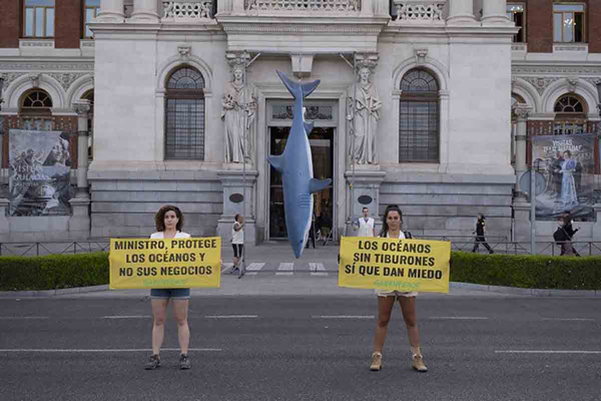Activistas de Greenpeace portan pancartas por el Día de los Océanos tras colgar un tiburón de 5 metros en la puerta del Ministerio de Pesca / Pedro Armestre - EP