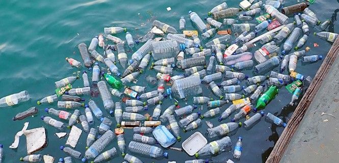 Envases plásticos de un solo uso en el agua / Foto: Mónica Volpin 