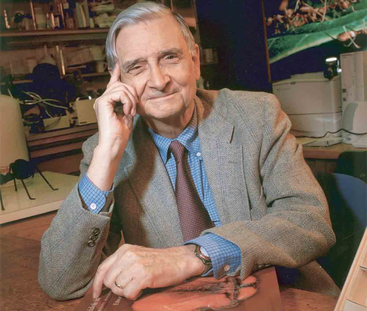 Edward O. Wilson 'El señor de las hormigas' / Foto: Wikipedia