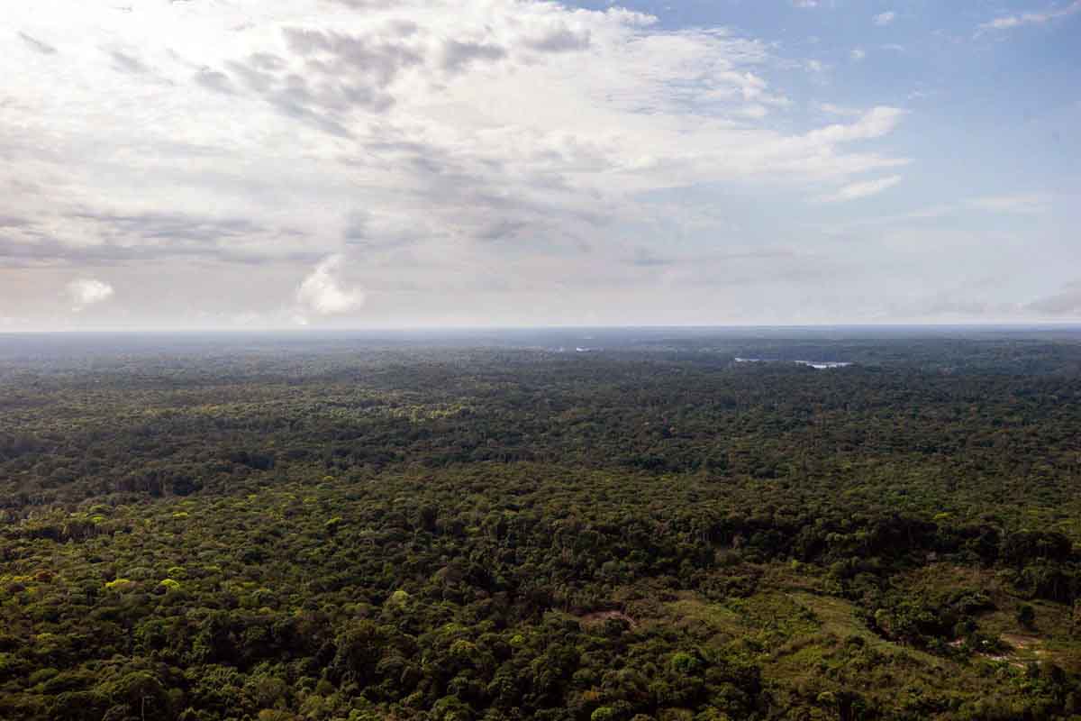 Vista aérea de la selva amazónica en el alto Río Negro, en el estado de Amazonas, en la frontera entre Brasil y Colombia, al noroeste del país