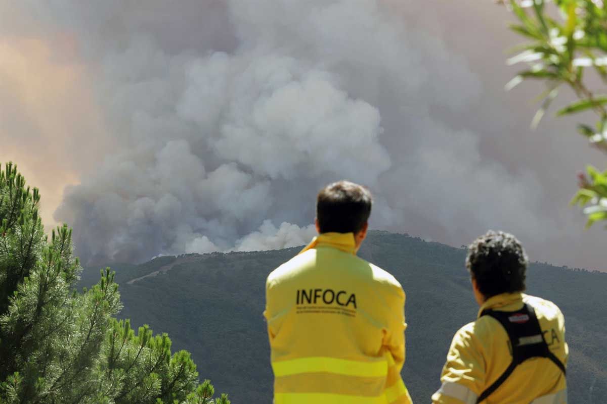 Incendio forestal del Pujerra a 09 de junio del 2022 en Pujerra (Málaga, Andalucía, España) / Foto: EP