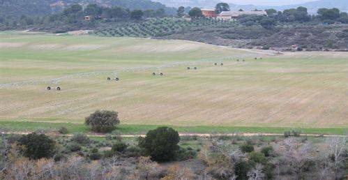 Campos de cultivo en Castilla-La Mancha. / Foto: EP